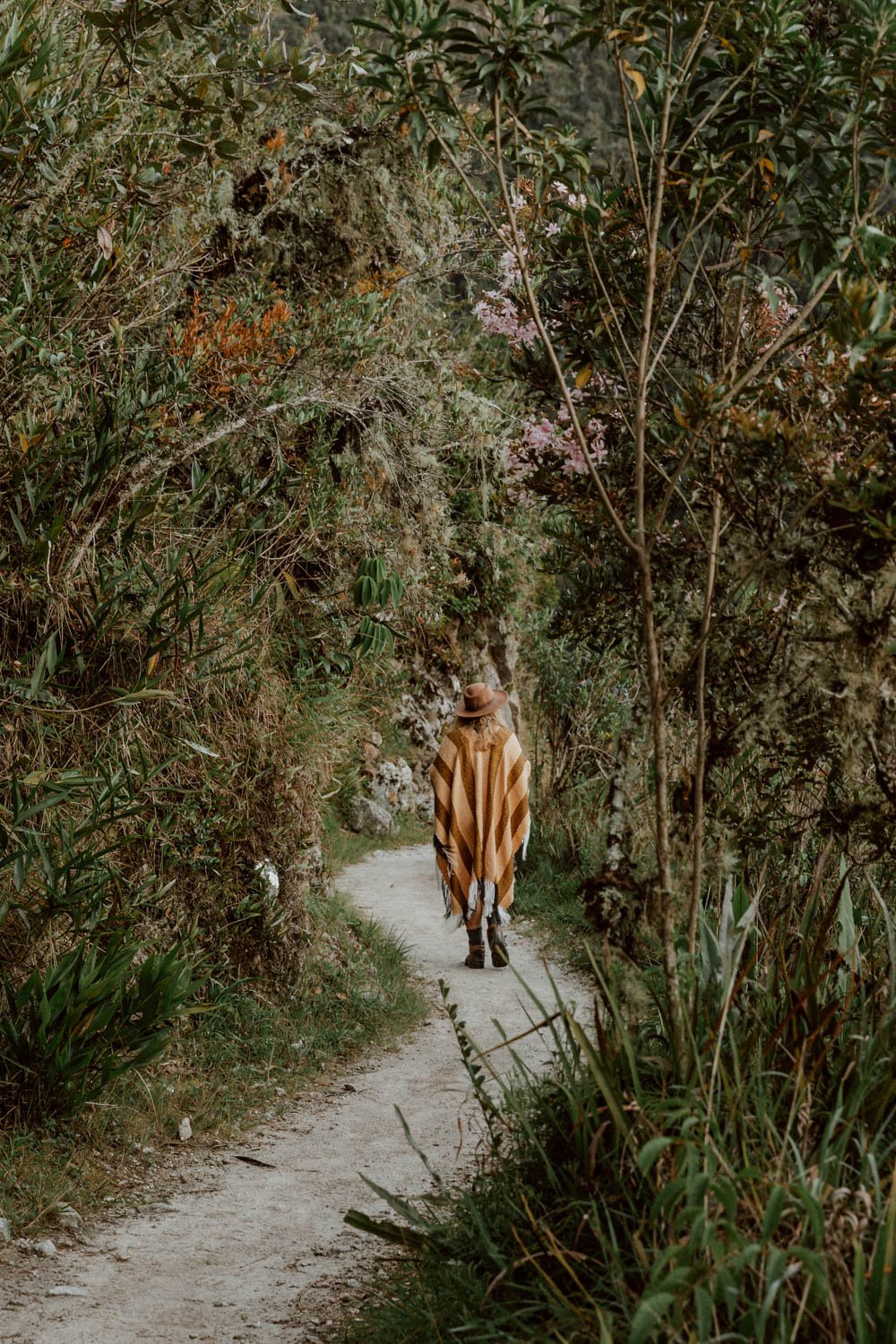 Hiking Inca Trail to Machu Picchu