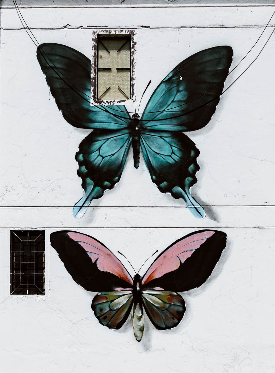 Street Art, Quito, Ecuador