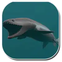 Frilled Shark